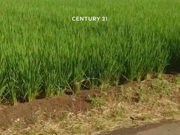 Dijual Kavling Strategis Dekat Tol Di Bogor Mk 18593