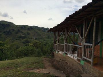Venta De Finca . Piedras De Moler. Alcala Valle