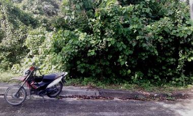 Affordable 129 Sqm Residential Lot for Sale near Talamban Cebu City