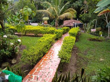 casa campestre en venta en chinacota. Cod V9492
