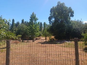 FUNDO SAN PEDRO DE COLICHEU - CABRERO - BIOBIO