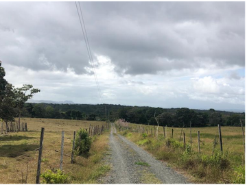 Se Vende Finca de 84 Hectáreas en Capira Iturralde