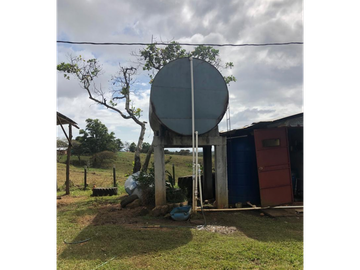 Se Vende Finca de 84 Hectáreas en Capira Iturralde