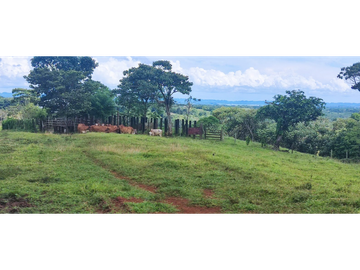 Se Vende Finca de 84 Hectáreas en Capira Iturralde