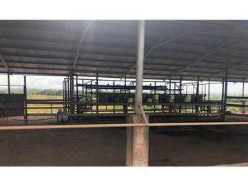 Se Vende Finca de 84 Hectáreas en Capira Iturralde