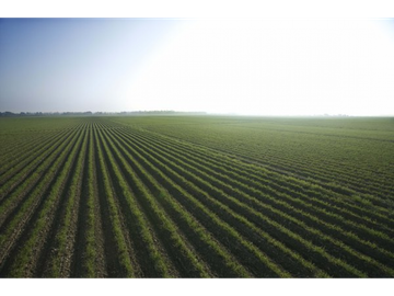Se Vende Finca de 84 Hectáreas en Capira Iturralde