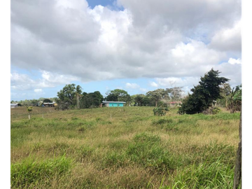 Se Vende Finca de 84 Hectáreas en Capira Iturralde