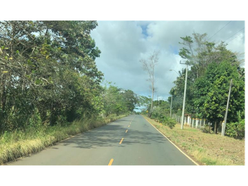 Se Vende Finca de 84 Hectáreas en Capira Iturralde