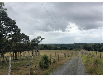 Se Vende Finca de 84 Hectáreas en Capira Iturralde