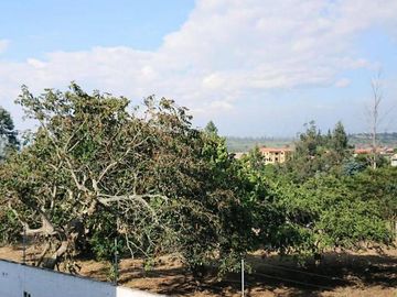 Venta espectacular casa 4 dormitorios, piscina, Urbanización Privada, Nayón