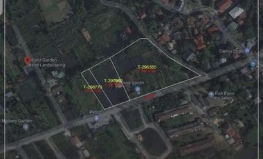 FOR LEASE: Agricultural Lot in Calumpit, Bulacan