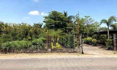 FOR LEASE: Agricultural Lot in Calumpit, Bulacan