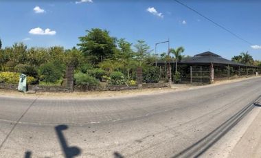 FOR LEASE: Agricultural Lot in Calumpit, Bulacan