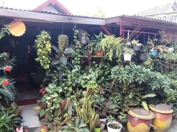 Rumah Dijual Di Jalan Margorejo Surabaya SN