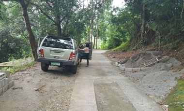 6,920 Sqm Property for Sale in Burgos, La Union