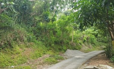 6,920 Sqm Property for Sale in Burgos, La Union