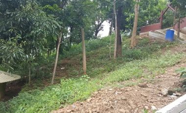 6,920 Sqm Property for Sale in Burgos, La Union