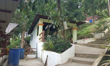 6,920 Sqm Property for Sale in Burgos, La Union