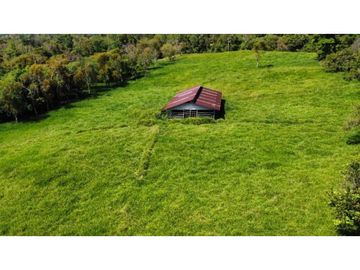 VENDO FINCA LECHERA DE 34 HECTAREAS + GALERAS+ FINCA DE SILO