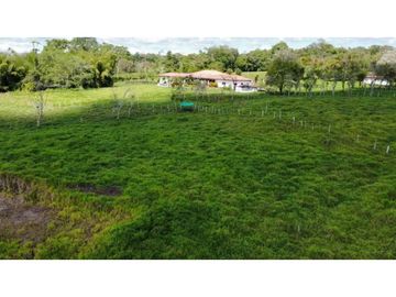 VENDO FINCA LECHERA DE 34 HECTAREAS + GALERAS+ FINCA DE SILO