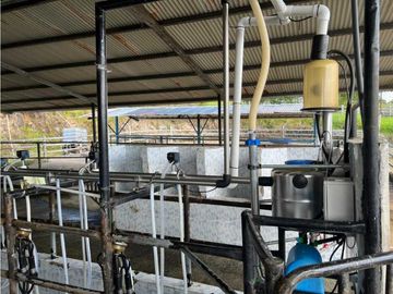 VENDO FINCA LECHERA DE 34 HECTAREAS + GALERAS+ FINCA DE SILO