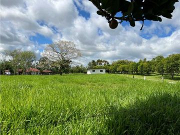 VENDO FINCA LECHERA DE 34 HECTAREAS + GALERAS+ FINCA DE SILO