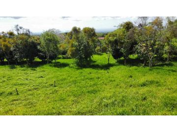 VENDO FINCA LECHERA DE 34 HECTAREAS + GALERAS+ FINCA DE SILO