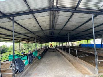 VENDO FINCA LECHERA DE 34 HECTAREAS + GALERAS+ FINCA DE SILO