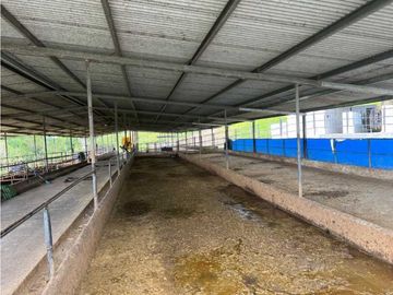 VENDO FINCA LECHERA DE 34 HECTAREAS + GALERAS+ FINCA DE SILO
