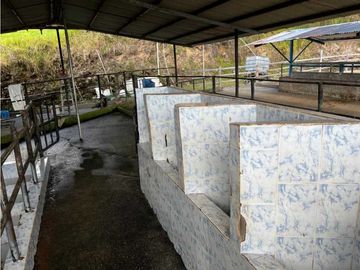 VENDO FINCA LECHERA DE 34 HECTAREAS + GALERAS+ FINCA DE SILO