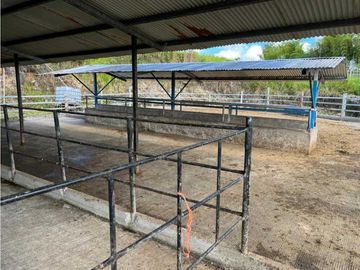 VENDO FINCA LECHERA DE 34 HECTAREAS + GALERAS+ FINCA DE SILO