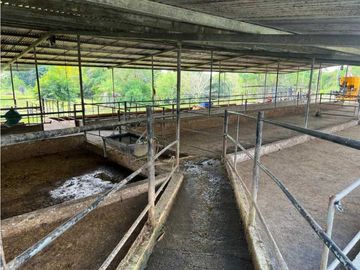 VENDO FINCA LECHERA DE 34 HECTAREAS + GALERAS+ FINCA DE SILO