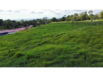 VENDO FINCA LECHERA DE 34 HECTAREAS + GALERAS+ FINCA DE SILO