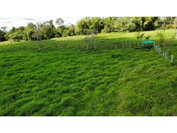 VENDO FINCA LECHERA DE 34 HECTAREAS + GALERAS+ FINCA DE SILO