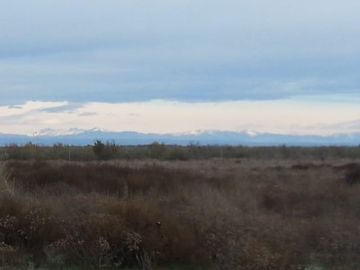 Campo en Venta 400 ha - Colonia Elena- San Rafael - Mendoza