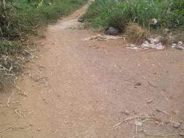 Jual Cepat Tanah Murah 23 Ha Di Kadudampit Kota Sukabumi