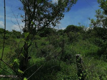 Terreno en Carretera Nacional Acapulco-Pinotepa