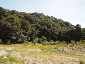 Venta/Terreno/Rancho la Concepción
