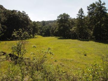 Venta/Terreno/Rancho la Concepción
