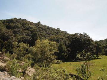 Venta/Terreno/Rancho la Concepción