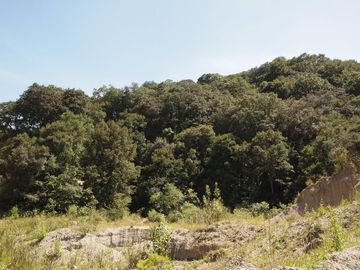 Venta/Terreno/Rancho la Concepción