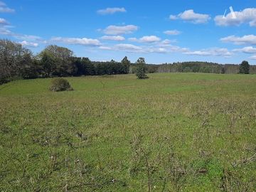 Sitio en Venta en Campo Doña Silvia, sector Concordia, Frutillar