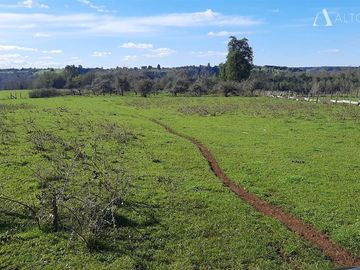 Sitio en Venta en Campo Doña Silvia, sector Concordia, Frutillar