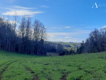 Sitio en Venta en Campo Doña Silvia, sector Concordia, Frutillar