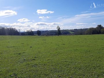 Sitio en Venta en Campo Doña Silvia, sector Concordia, Frutillar
