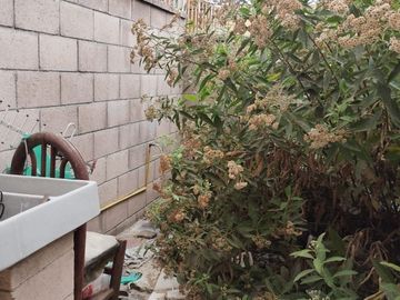 CASA EN VENTA ZUMPANGO