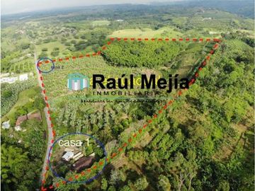 Venta de finca con  mas de 10  hectáreas  en Montenegro Quindío