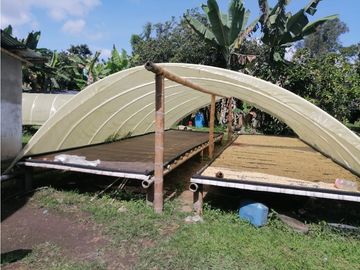 Venta de finca con  mas de 10  hectáreas  en Montenegro Quindío