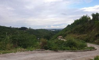195 SQM Subdivision Lot for Sale in VISTA VERDE CONSOLACION CEBU