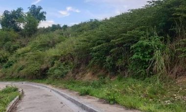 195 SQM Subdivision Lot for Sale in VISTA VERDE CONSOLACION CEBU